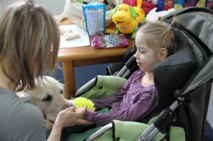 dogoterapia, rehabilitacja, Michałkowo