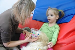 dogoterapia, Yoko, Michałkowo, turnus