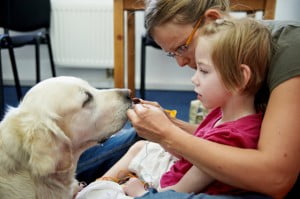 Michałkowo, ćwiczenia, rehabilitacja, turnus, dogoterapia