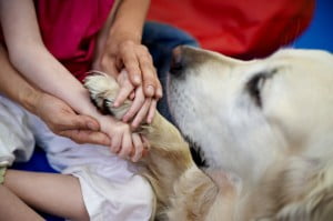 Michałkowo, ćwiczenia, rehabilitacja, turnus, dogoterapia