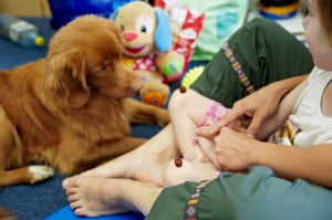 Michałkowo, ćwiczenia, rehabilitacja, turnus, dogoterapia