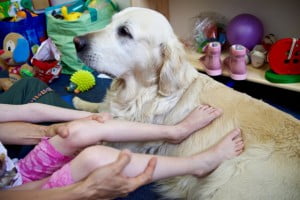 Michałkowo, ćwiczenia, rehabilitacja, turnus, dogoterapia