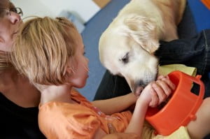 michałkowo, julkaimy, bielsko ćwiczenia dogoterapia