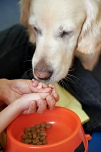 michałkowo, julkaimy, bielsko ćwiczenia dogoterapia