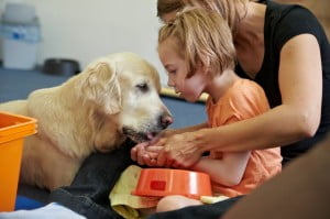 michałkowo, julkaimy, bielsko ćwiczenia dogoterapia