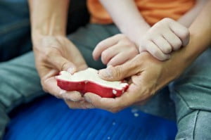 michałkowo, julkaimy, bielsko ćwiczenia dogoterapia, terapia ręki 