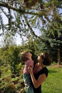 kwiaty, przyroda, kępa, 