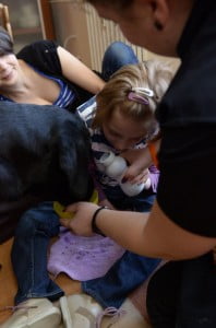 dogoterapia, kynoterapia, fundacja psy dzieciom, julkaimy,