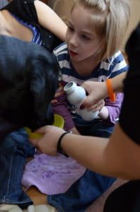 dogoterapia, kynoterapia, fundacja psy dzieciom, julkaimy, 