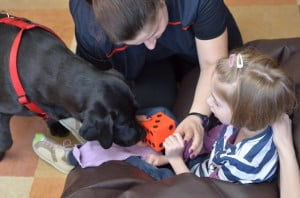 kynoterapia,dogoterapia, polskie towarzystwo kynoterapeutyczne 